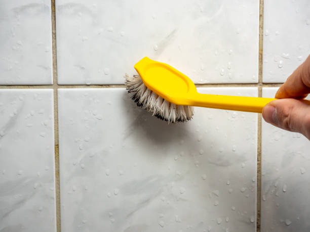 Best Water Damage Restoration  in Grand Coulee, WA