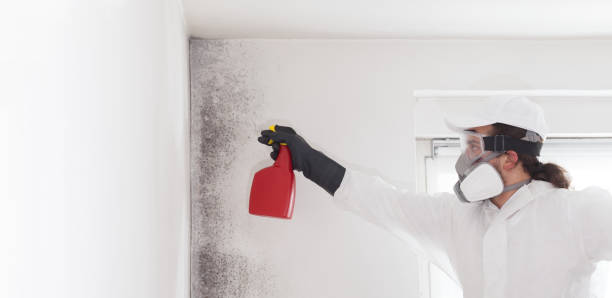 Best Office Mold Removal Services  in Grand Coulee, WA